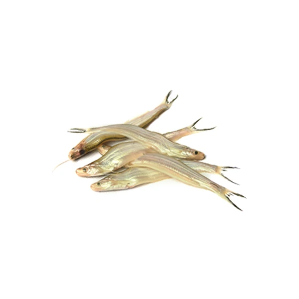Batasi Fish