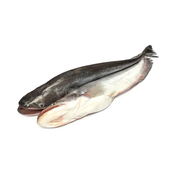 Bowal Fish Big