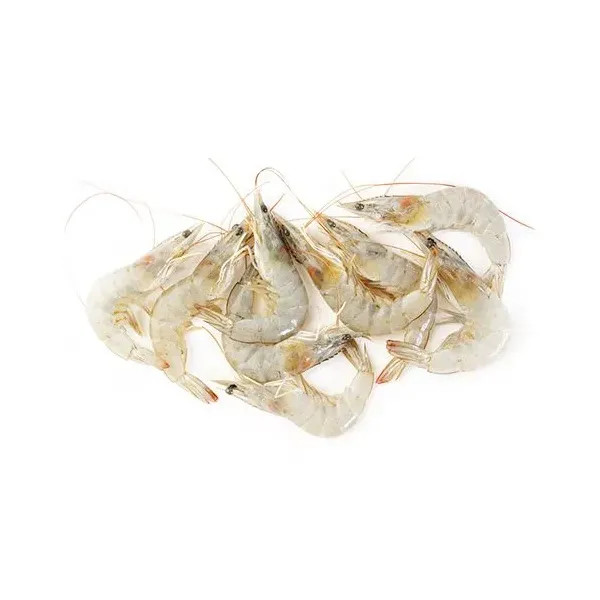 Shrimp Small